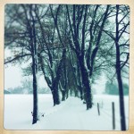 So muss Winter im Fünfseenland aussehen