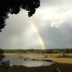 Regenbogen bei Seeshaupt am 17. September 2013