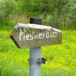 Der Mesnerbichl bei Andechs ist ein beeindruckendes Naturschutzgebiet mit einer unglaublichen Flora und Fauna