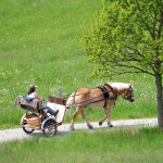 Ferienfahrerzeit im Fünfseenland. Da ist mir eine Kutsche vor mir lieber, die wissen nämlich wenigstens, wann sie andere vorbeilassen müssen …