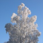 Wintereinbruch in der nächsten Woche. Puh, da darf man gar nicht laut darüber nachdenken …