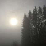 Nebel bedecken heute an Allerseelen die Landschaft im Fünfseenland