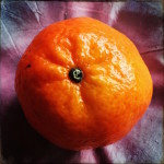 Die Supermarktregale sind wieder voll mit Orangen, Mandarinen und Clementinen. Weihnachtszeit!