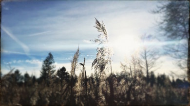 Nach langem Sonnenschein hat heute das Wetter umgeschlagen. Jetzt wird es Winter …