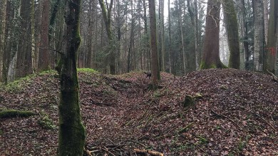 Suche nach alten Kalkbrennöfen in den Wäldern rund um Seeshaupt. Eine spannende Sache bei der man genau hinsehen muss