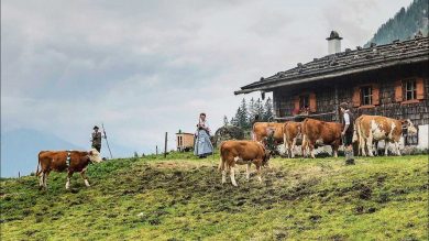 Sehnsucht Alm – Vom Glück des einfachen Lebens Karin Lochner & Peter von Felbert. erschienen im Bruckmann Verlag